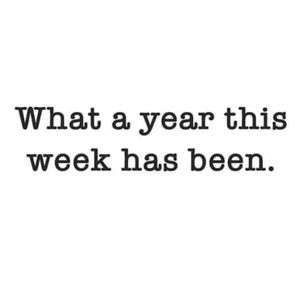 Meet your Posher, William